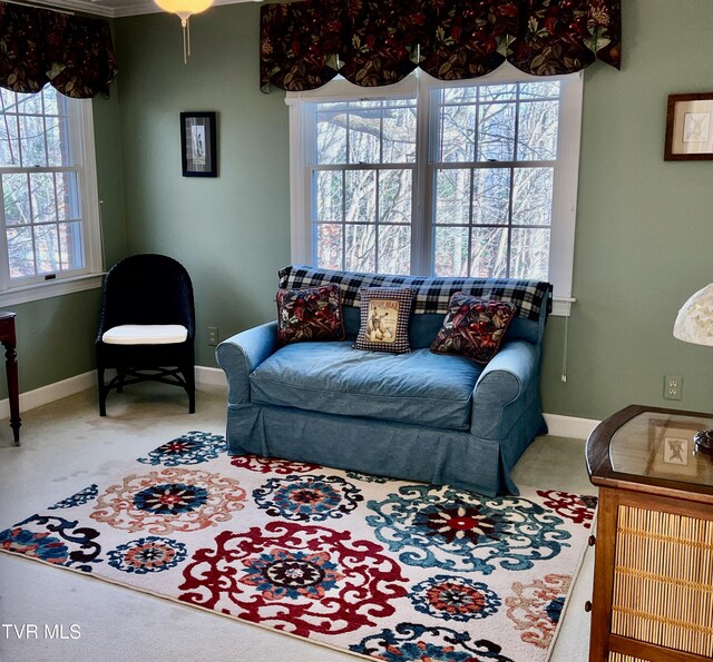 view of carpeted living room