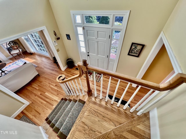 foyer featuring hardwood / wood-style floors and a towering ceiling