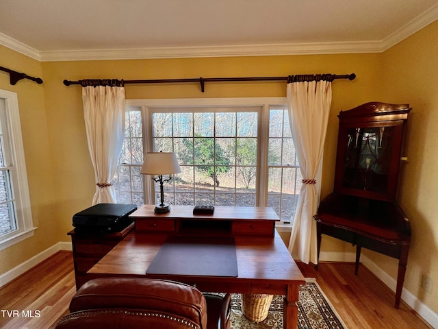 office area featuring hardwood / wood-style floors and crown molding