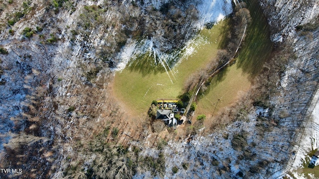 736 Ragan Rd, Trade, TN 37691 - photo 68