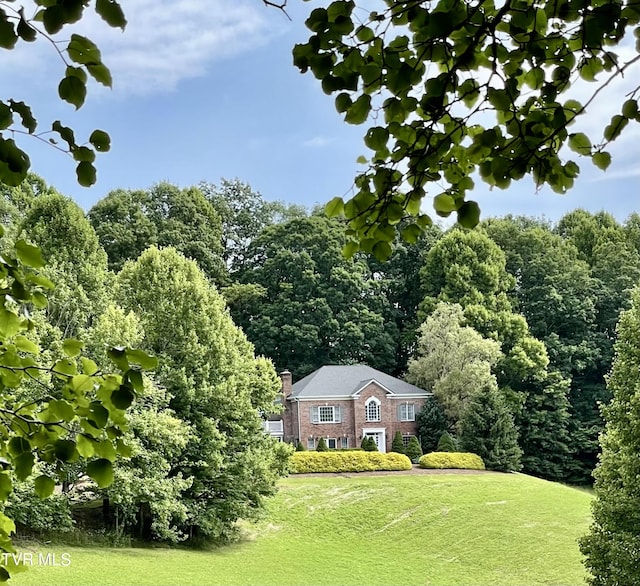 736 Ragan Rd, Trade, TN 37691 - photo 3