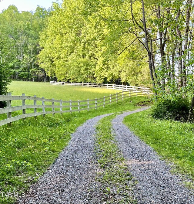 736 Ragan Rd, Trade, TN 37691 - photo 64