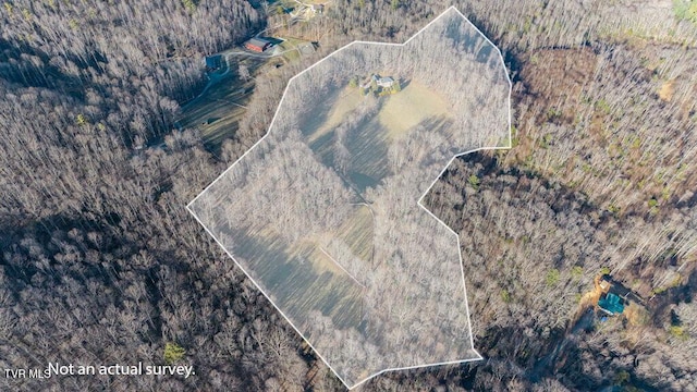 736 Ragan Rd, Trade, TN 37691 - photo 69