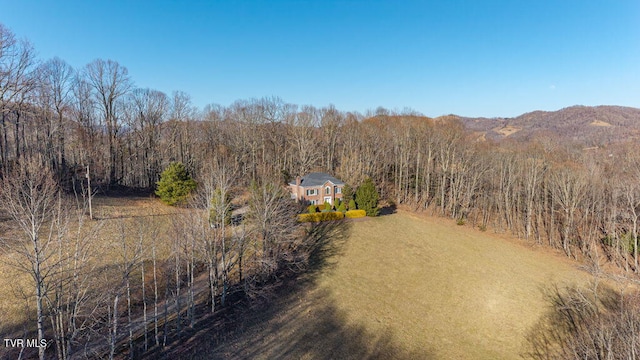 736 Ragan Rd, Trade, TN 37691 - photo 70