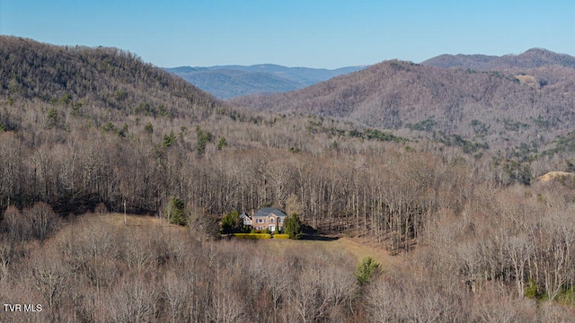 736 Ragan Rd, Trade, TN 37691 - photo 71