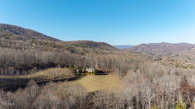 736 Ragan Rd, Trade, TN 37691 - photo 72