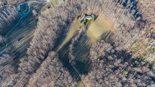 736 Ragan Rd, Trade, TN 37691 - photo 74