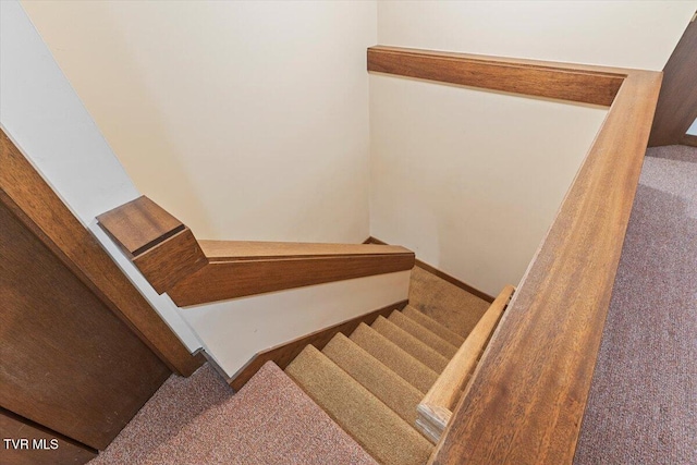 staircase with carpet floors