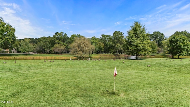 view of community with a rural view and a lawn