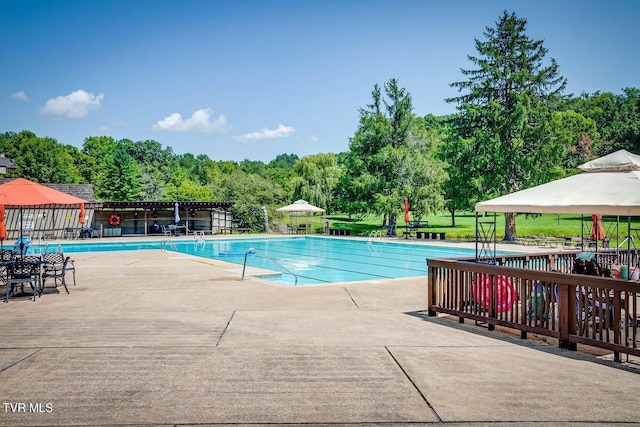 view of swimming pool featuring a patio