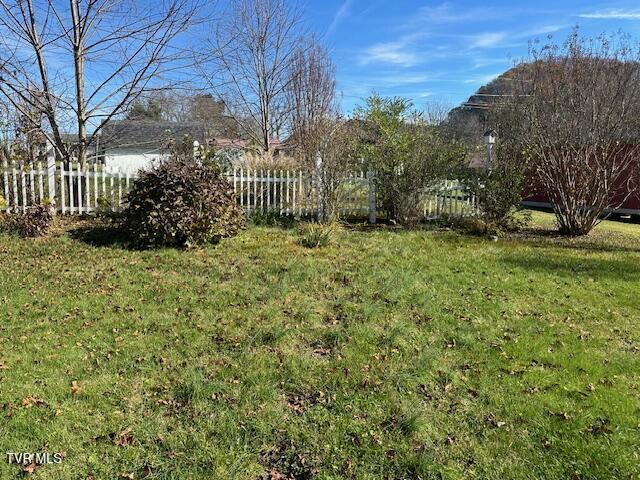 20286 Shadowood Cir, Meadowview, VA 24361 - view of yard