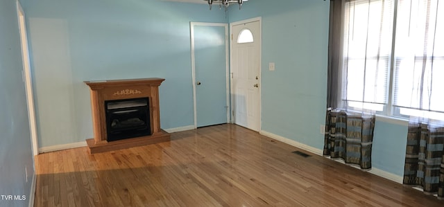 20286 Shadowood Cir, Meadowview, VA 24361 - entryway featuring a fireplace with raised hearth, wood finished floors, and healthy amount of natural light
