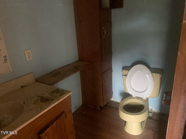2260 Susong Memorial Rd, Greeneville, TN 37743 - bathroom with toilet, wood-type flooring, and sink