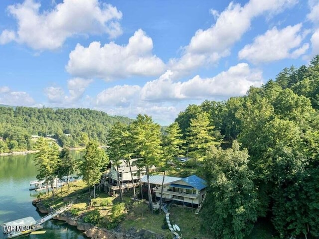 bird's eye view featuring a water view