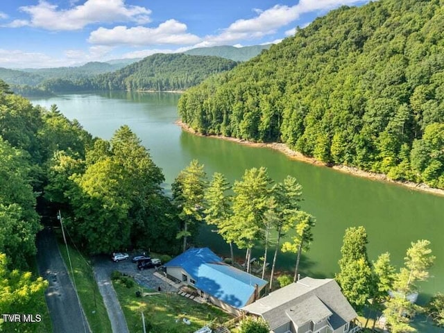 birds eye view of property featuring a water and mountain view