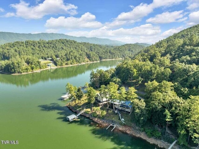 drone / aerial view with a water and mountain view