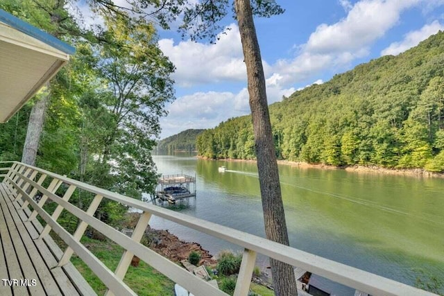 water view featuring a boat dock