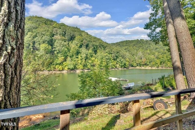 water view featuring a mountain view