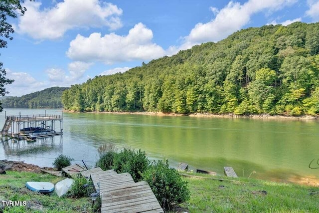 view of dock featuring a water view