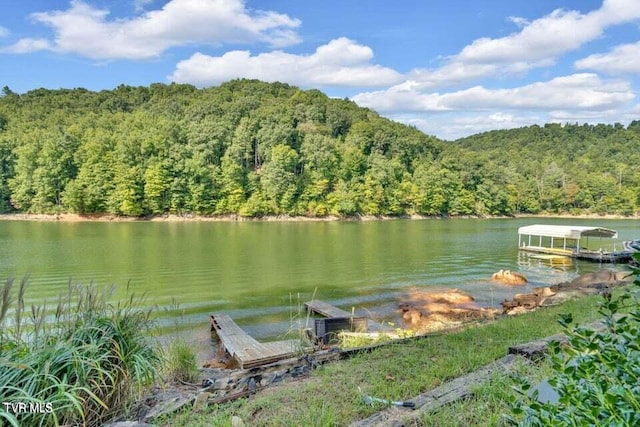 water view with a boat dock