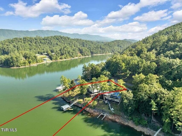 bird's eye view with a water and mountain view