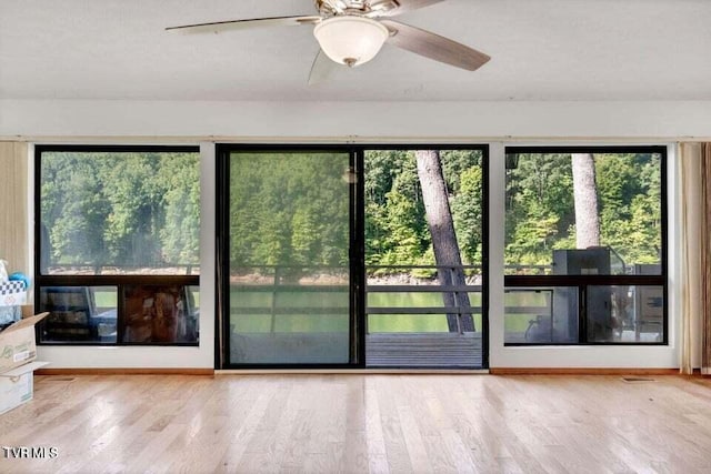 doorway featuring ceiling fan, plenty of natural light, and wood-type flooring