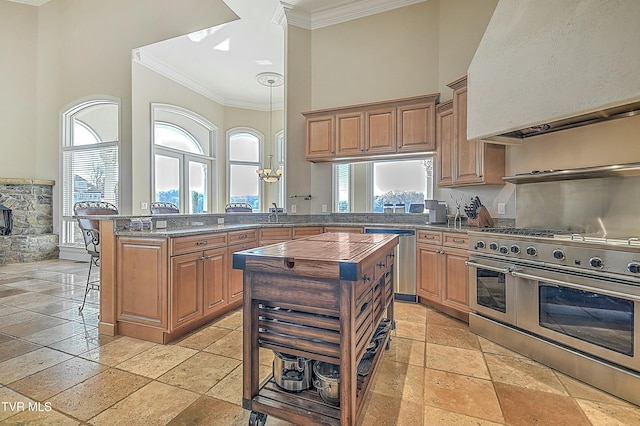 kitchen featuring stainless steel appliances, a kitchen island, and a wealth of natural light