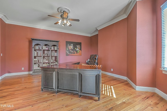 home office featuring light hardwood / wood-style floors, ceiling fan, and ornamental molding