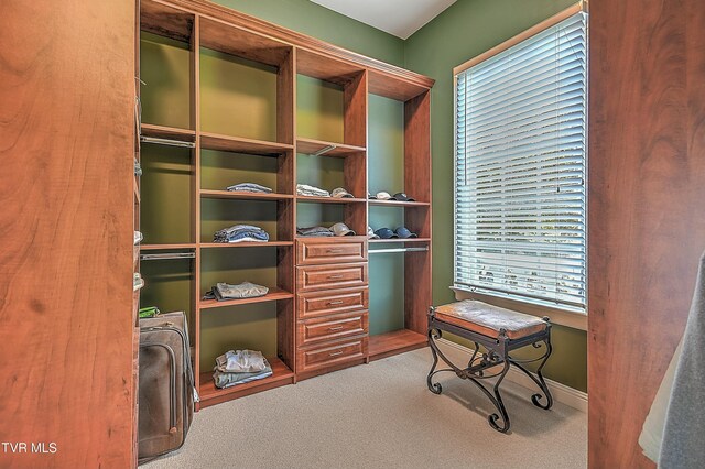 6 Edgewater Ct, Johnson City, TN 37615 - photo 56