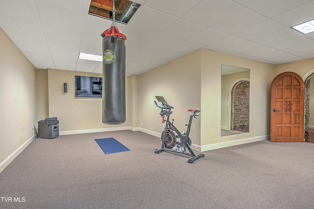 exercise area with carpet flooring