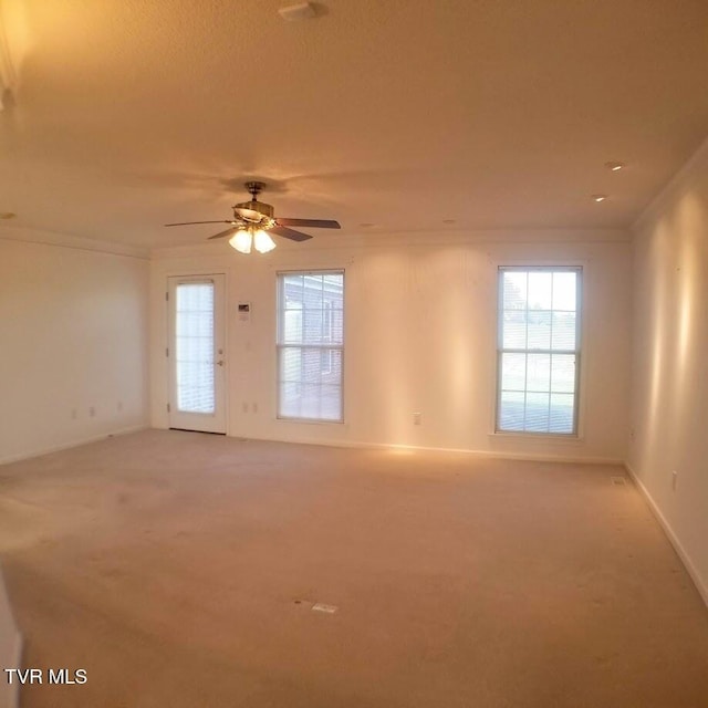 carpeted spare room featuring ceiling fan and crown molding