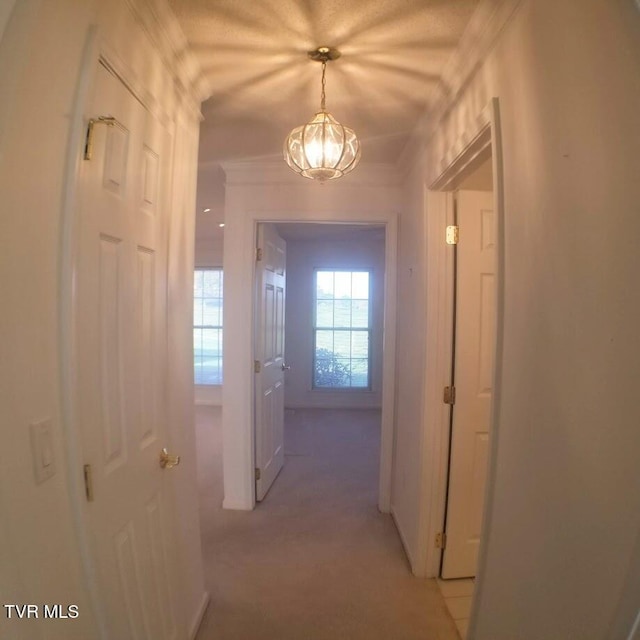 hallway with light carpet, a chandelier, and ornamental molding