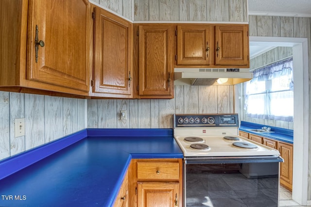 kitchen with white range with electric cooktop and crown molding