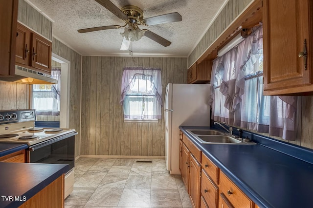 kitchen with wood walls, sink, range with electric cooktop, and exhaust hood