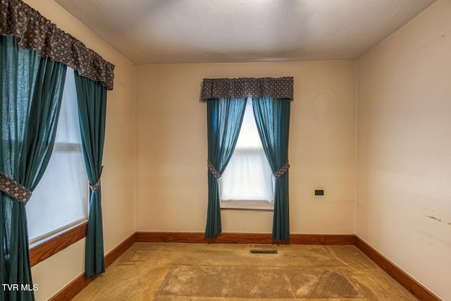 spare room with carpet floors and a textured ceiling