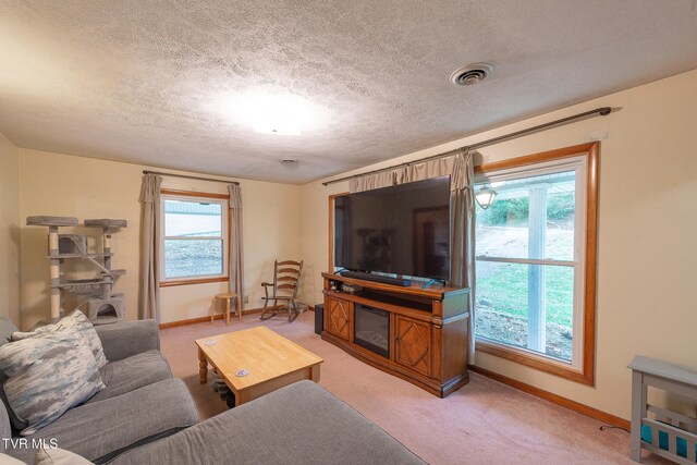 carpeted living room with a textured ceiling