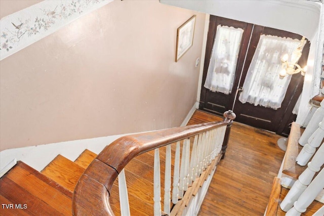 entryway with dark hardwood / wood-style floors