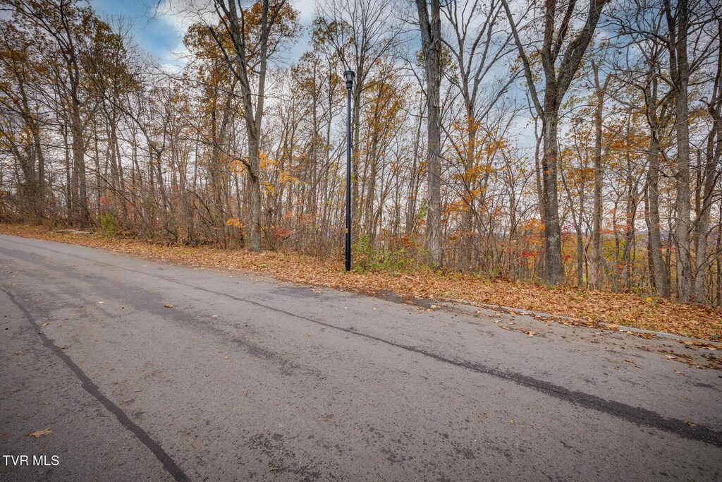454 Hidden Acres Rd, Kingsport, TN 37664 - photo 1