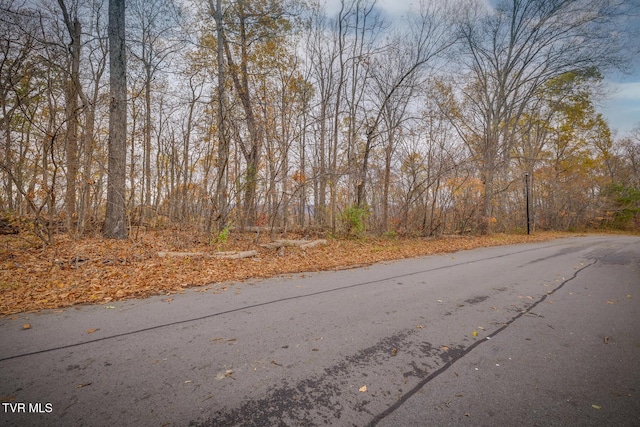 454 Hidden Acres Rd, Kingsport, TN 37664 - photo 2