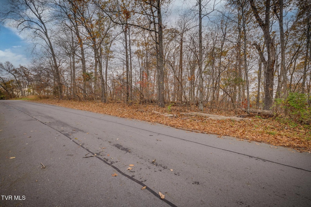 454 Hidden Acres Rd, Kingsport, TN 37664 - photo 3