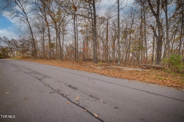 454 Hidden Acres Rd, Kingsport, TN 37664 - photo 3