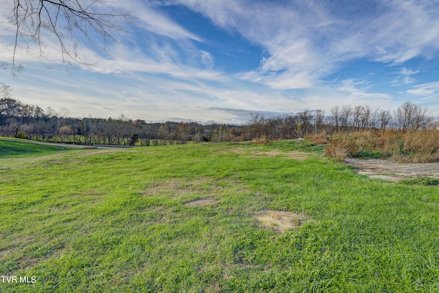 view of yard with a rural view