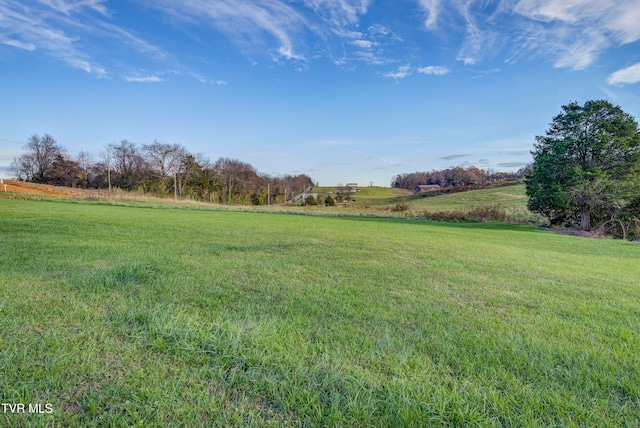 view of yard featuring a rural view