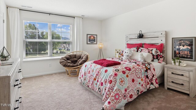 1711 Fox Meadows Cir, Bluff City, TN 37618 - bedroom featuring visible vents, baseboards, and carpet