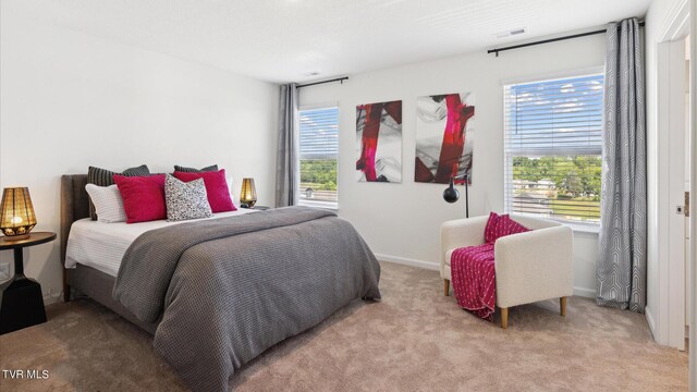 1711 Fox Meadows Cir, Bluff City, TN 37618 - bedroom with visible vents, baseboards, and light colored carpet