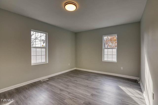 spare room featuring plenty of natural light and wood-type flooring