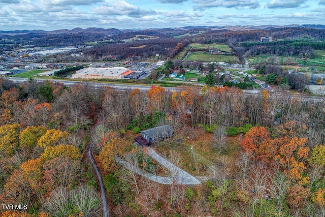 drone / aerial view featuring a mountain view