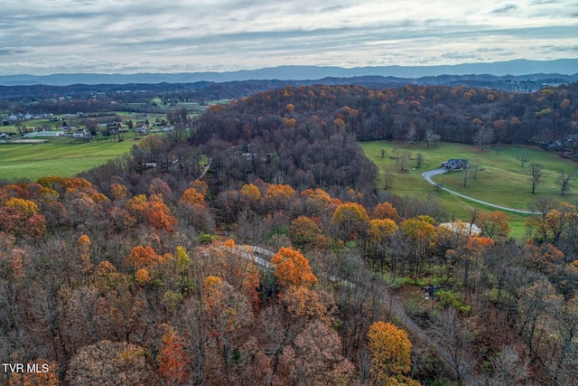 birds eye view of property with a mountain view