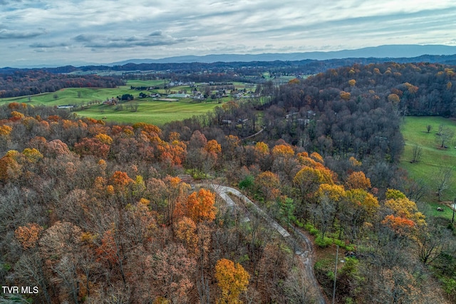 aerial view featuring a mountain view