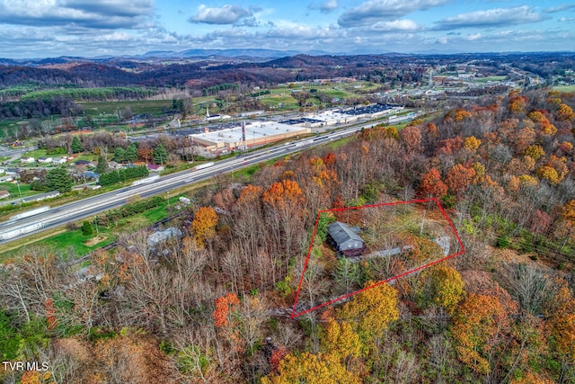 drone / aerial view with a mountain view